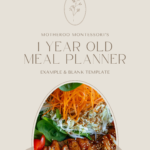 1 Year Old Meal Planner