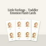 Little Feelings - Toddler Emotion Flash Cards